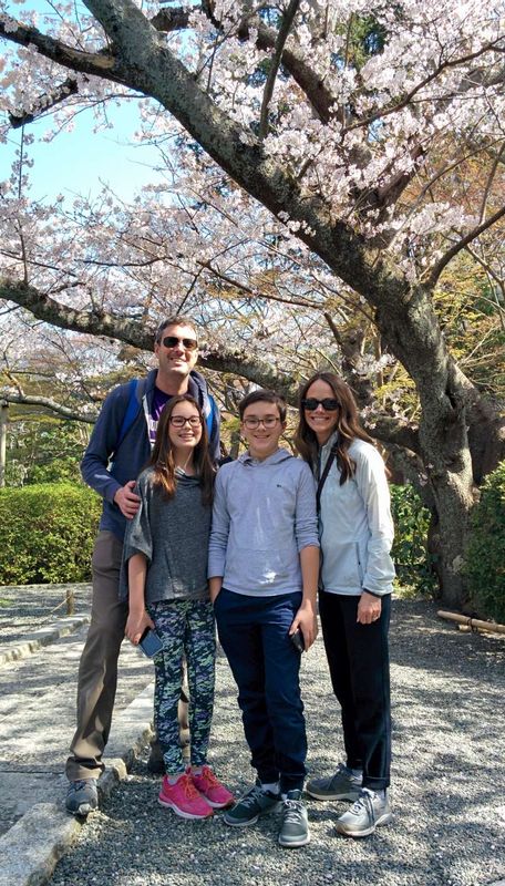 Kanagawa Private Tour - In front of a big cherry tree in full bloom at Hokokuji Temple