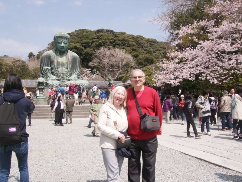 Kanagawa Private Tour - The best shot with Great Budddha and cherry blossoms