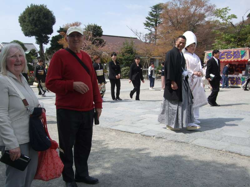 Kanagawa Private Tour - Good timing at Tsurugaoka Hachiman Shrine