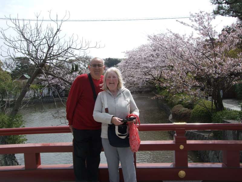 Kanagawa Private Tour - Big smiles in front of a pond and cherry blossoms