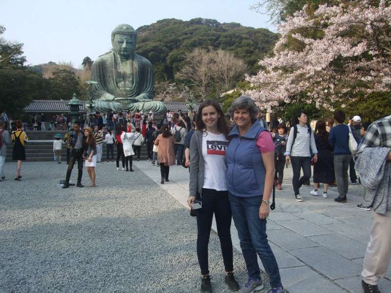 Kanagawa Private Tour - With the perfect view in the back at Kotokuin Temple