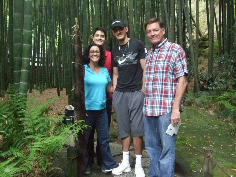 Kanagawa Private Tour - Young bamboos are growing here and there in the bamboo grove.