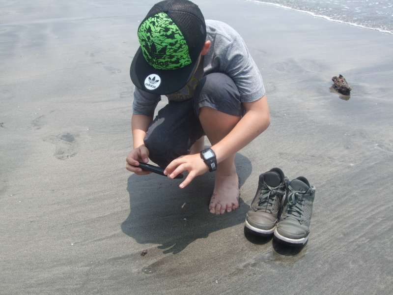 Kanagawa Private Tour - He found a small crab!