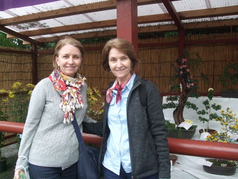 Kanagawa Private Tour - Enjoying beautiful chrysanthemum bonsai in the precinct