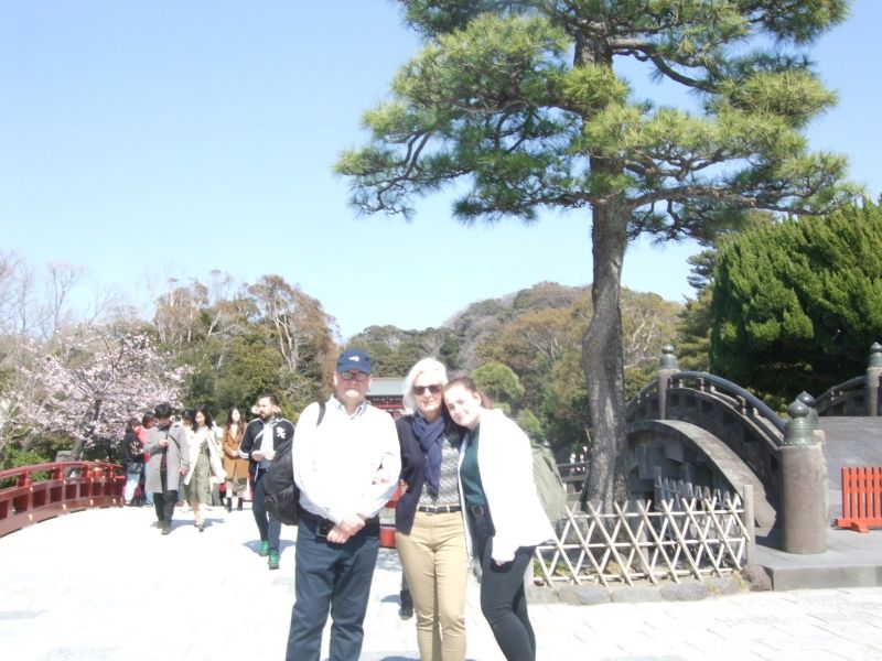 Kanagawa Private Tour - The blue sky and the green trees are so beautiful at Tsurugaoka Hachiman Shrine