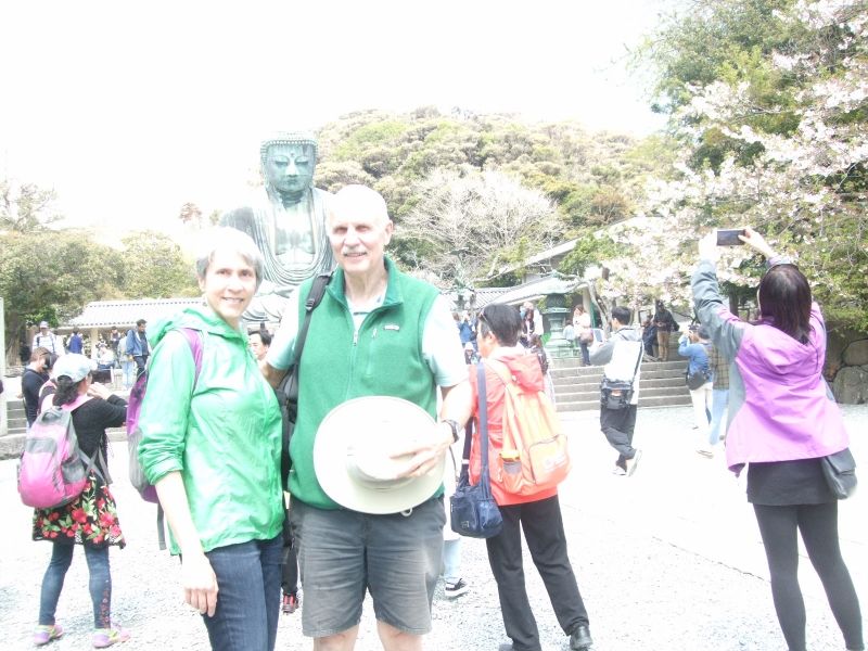 Kanagawa Private Tour - Great Buddha and the cherry blossoms welcomed us in Kotokuin Temple.