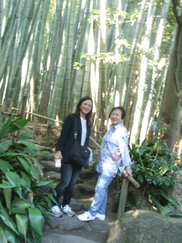 Kanagawa Private Tour - In the bamboo forest at Hokokuji Temple