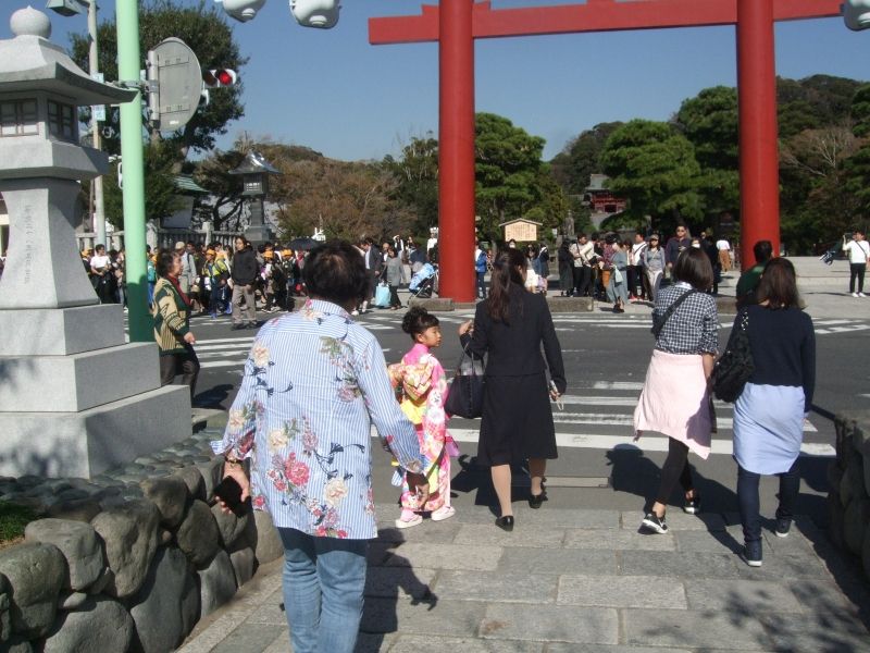 Kanagawa Private Tour - A girl in a colorful kimono for seven-five -three celebration was in front of us at Tsurugaoka Hachiman Shrine