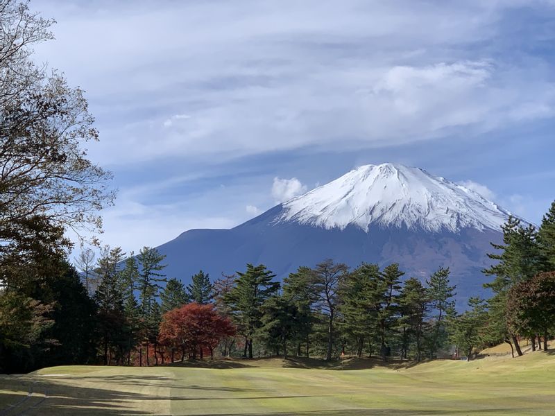 Tokyo Private Tour - Mt. Fuji