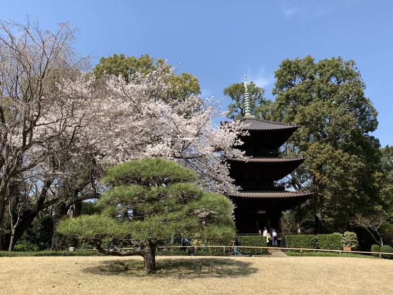 Tokyo Private Tour - Zojoji Temple