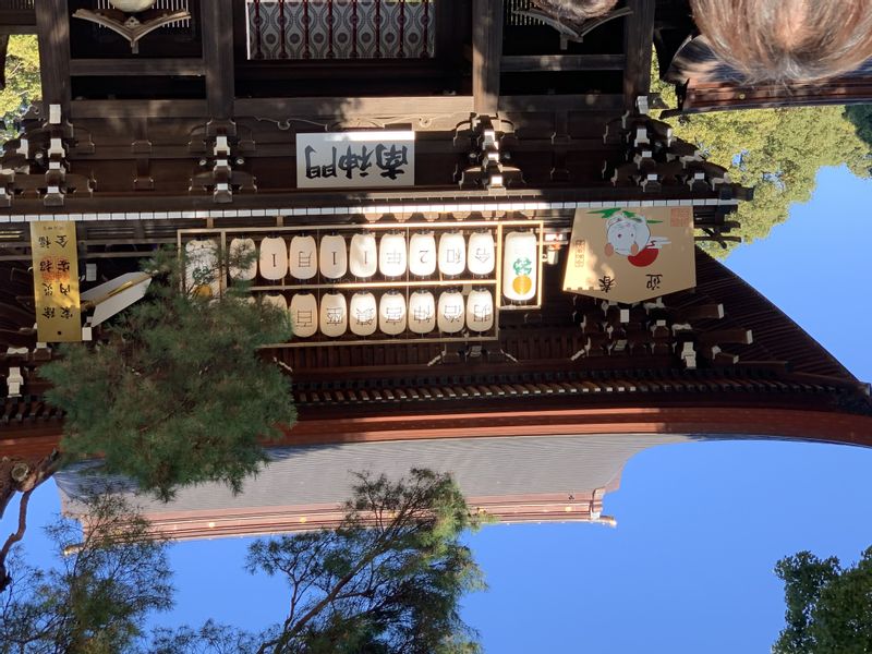 Tokyo Private Tour - Meiji Shrine