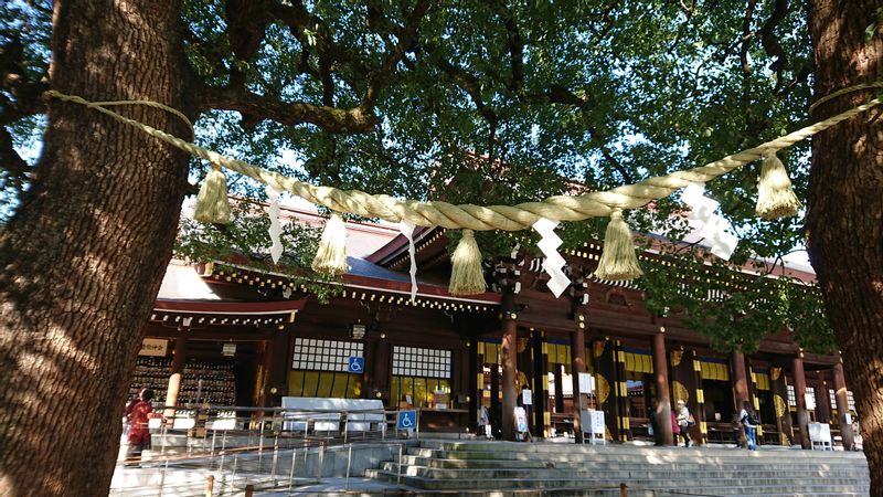 Tokyo Private Tour - Meiji Jingu Shrine: sacred festoon ties the husband and wife divine trees