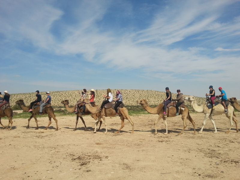 Haifa Private Tour - Riding camels 