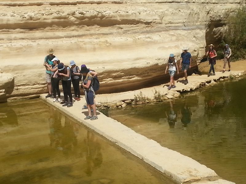 Haifa Private Tour - Visiting an Oasis