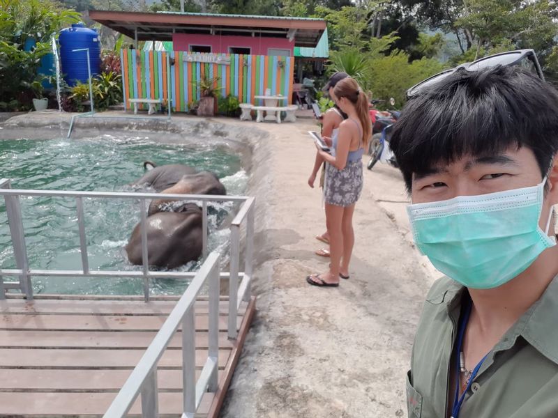 Phuket Private Tour - At the Elephant Camp.
The activity is Bathing with Elephants.