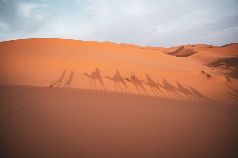 Merzouga Private Tour - Camellos 