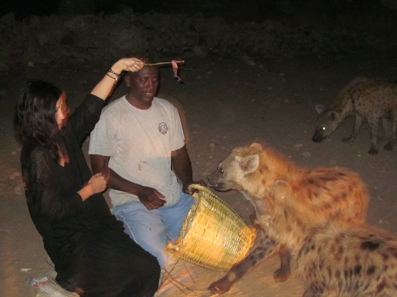 Addis Ababa Private Tour - Feeding Hayena in Harar