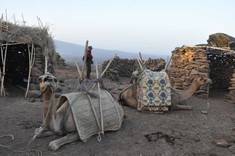 Addis Ababa Private Tour - Camping site at Ertale volcanic crater