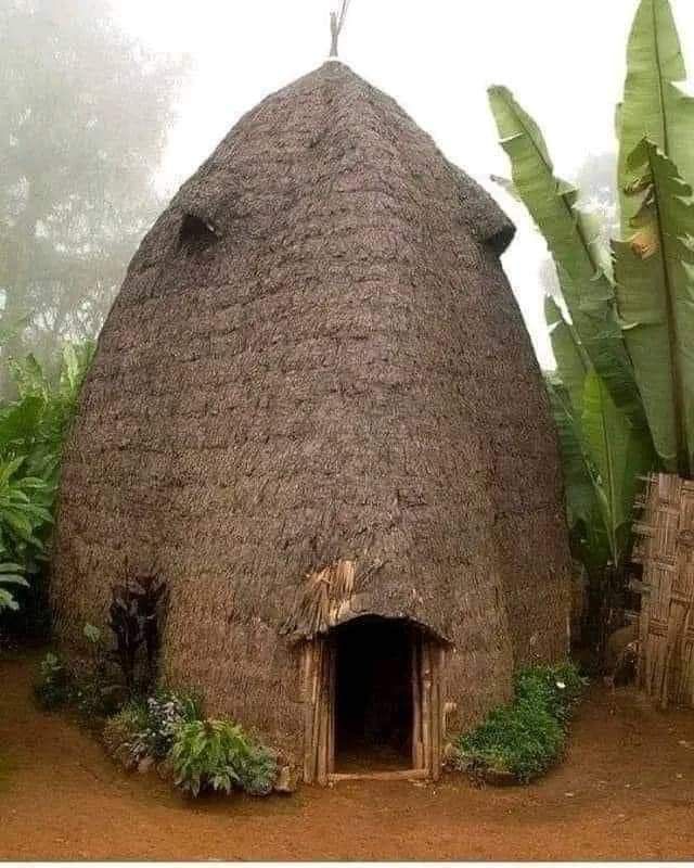 Addis Ababa Private Tour - Traditional house of the Dorze people, Arbaminch