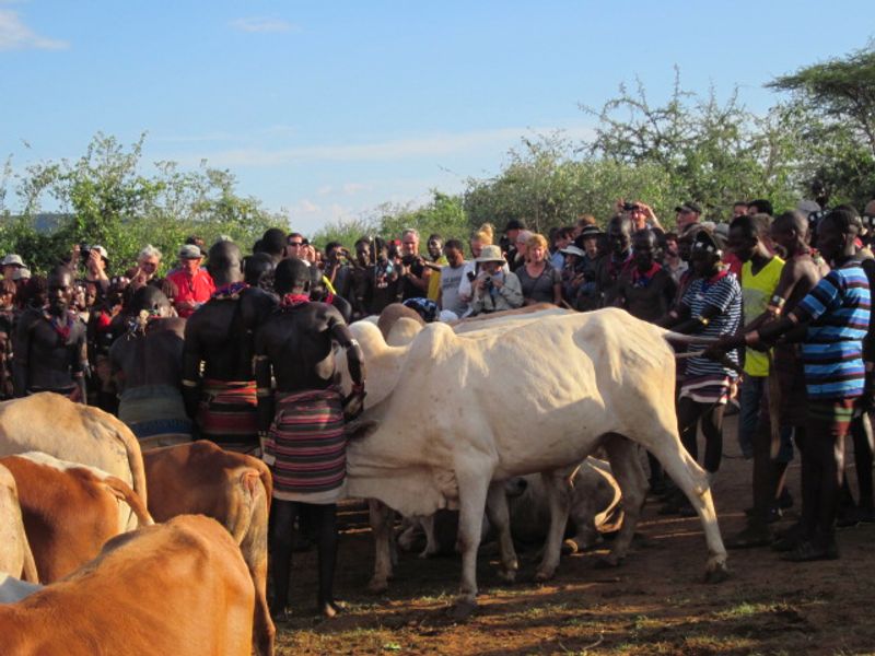 Addis Ababa Private Tour - Bull jumping event in Hamer village/Omo valley