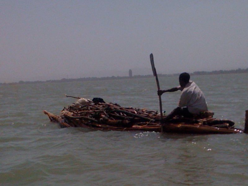 Addis Ababa Private Tour - Man transporting wood using papyrus boat on lake Tana/Bahirdar 