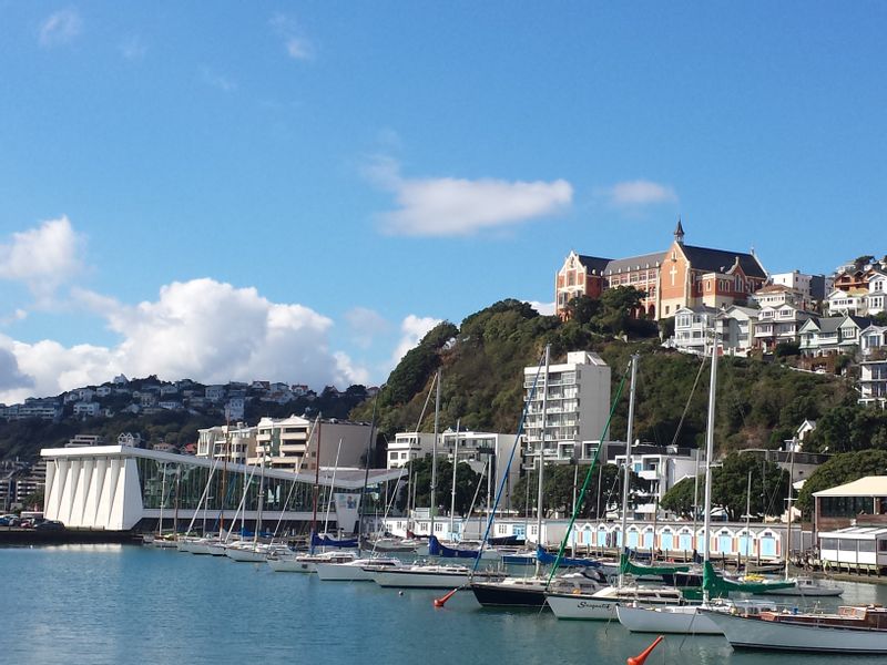 Wellington Private Tour - Oriental Bay in Wellington