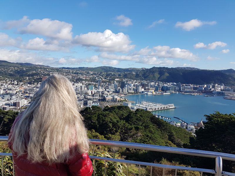 Wellington Private Tour - The view from Mt Victoria