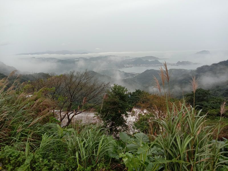 Taipei Private Tour - Yangmingshan National Park