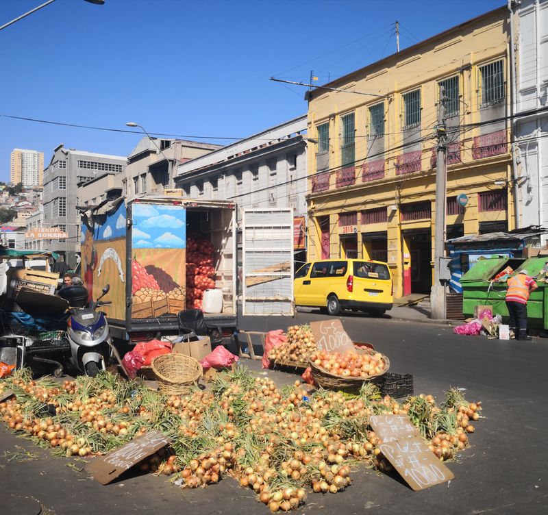 Santiago Private Tour - Onion's day