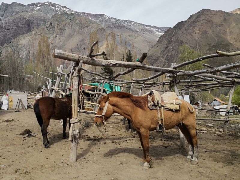 Santiago Private Tour - Horsing around Maipo Canyon at Andes Mountains