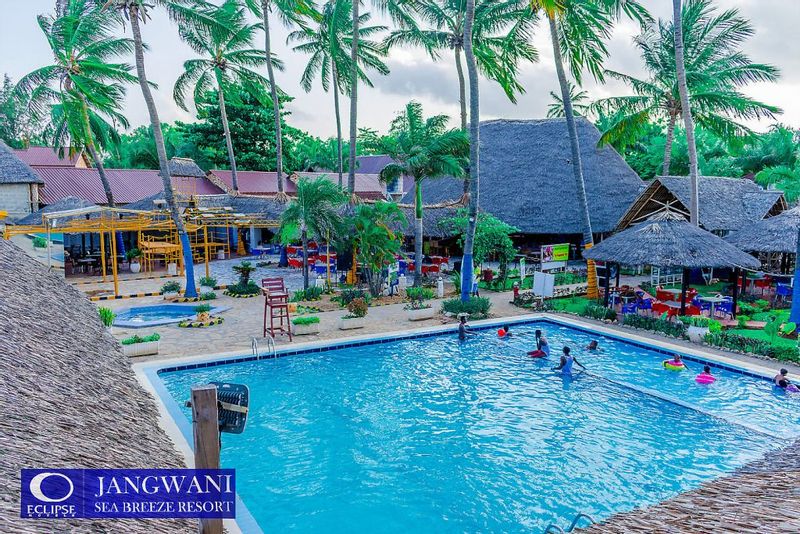 Dar es Salaam Private Tour - Swimming in the best resorts