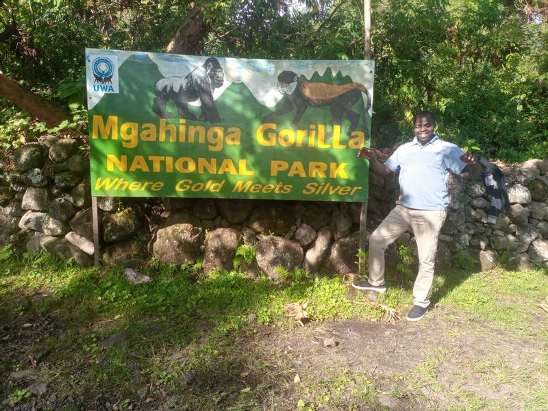 Western Private Tour - Mgahinga Gorilla National Park.