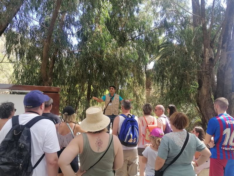 Nabeul Private Tour - carthage , antonin Baths