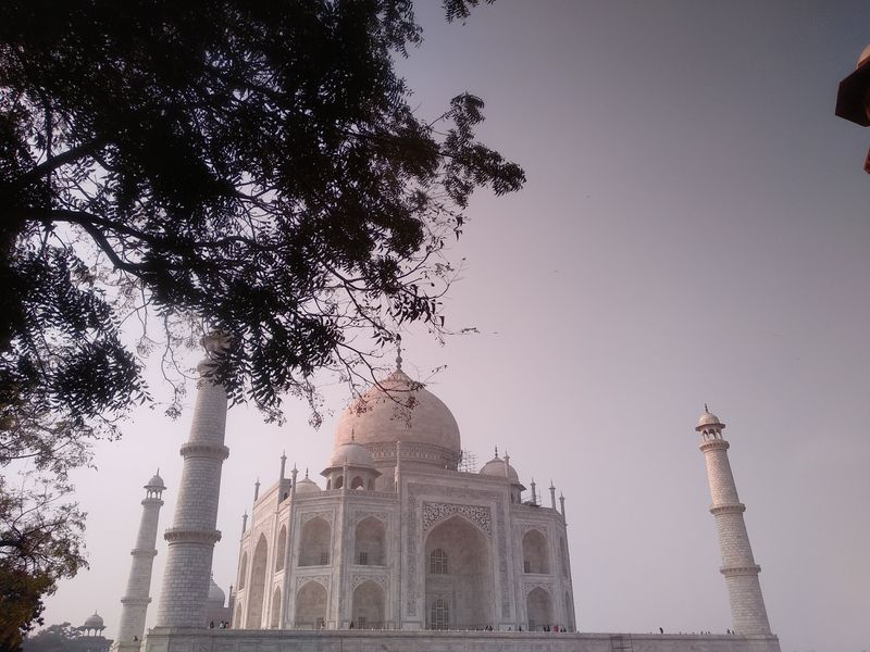 Agra Private Tour - A view of Taj Mahal through it's garden