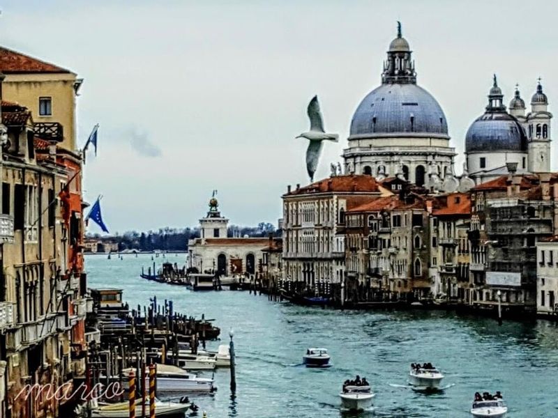 Veneto Private Tour - The best of Venice 