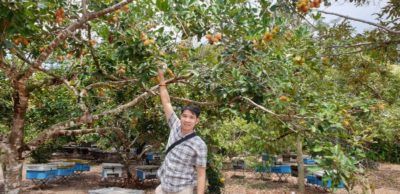 Hanoi Private Tour - fruit trip