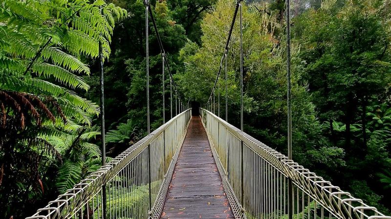 Melbourne Private Tour - Tarra Bulga Suspension Bridge