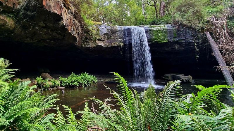 Melbourne Private Tour - Kalimna Falls