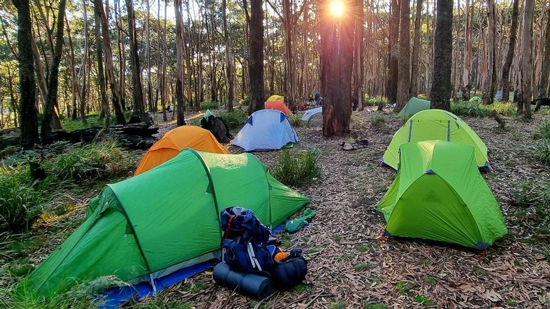 Melbourne Private Tour - Camping at Beeripmo