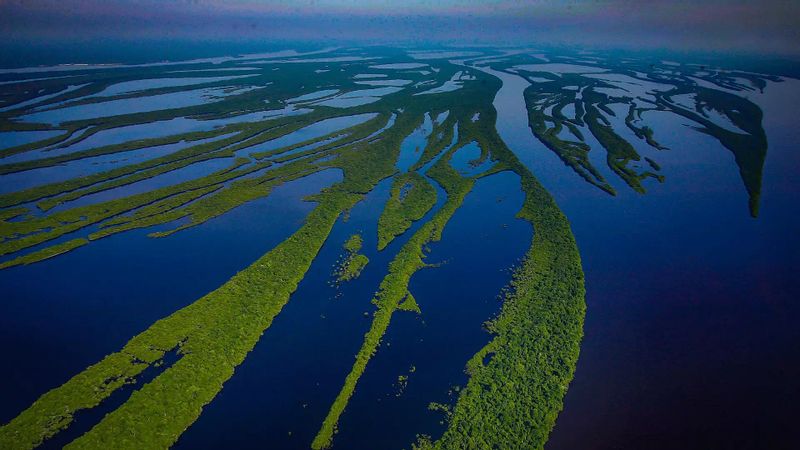 Sao Paulo Private Tour - Amazon River Cruse