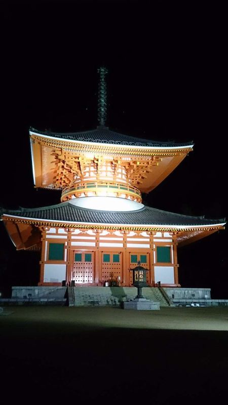 Wakayama Private Tour - Konpon Daito (Great Pagoda) at night.