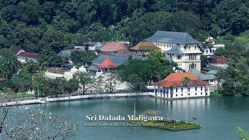 Galle Private Tour - Temple -Tooth of  The Relic 