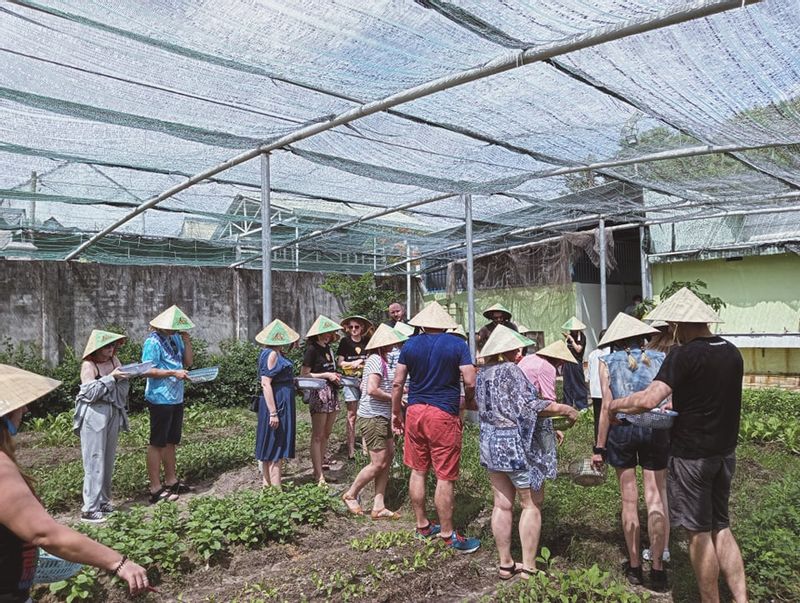 Ho Chi Minh Private Tour - collect vegetables 