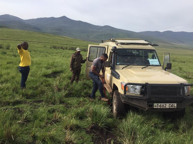 Tanga Private Tour - Ngorongoro crater 