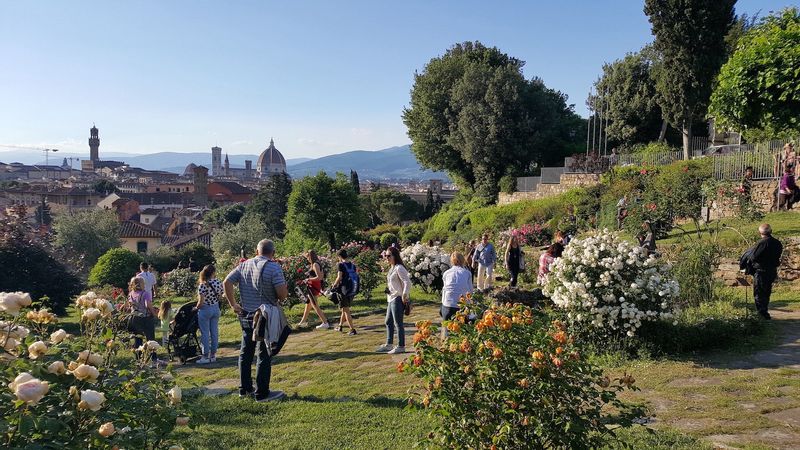 Florence Private Tour - Florence: view over the City