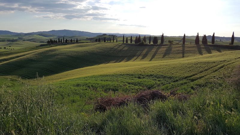 Florence Private Tour - Tuscany countryside