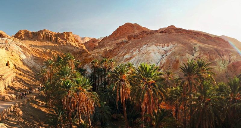 Tozeur Private Tour - Oasis of Chebika.