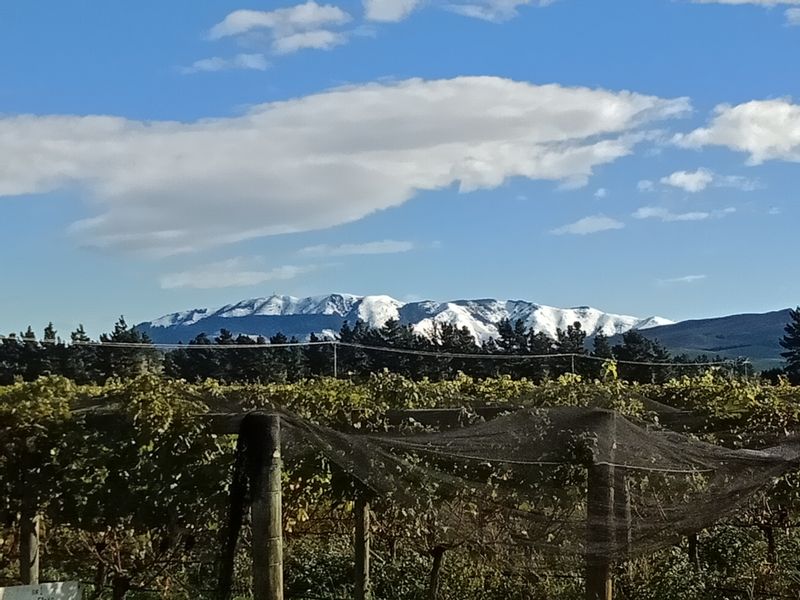 Christchurch Private Tour - Terrace Edge - Mountain View