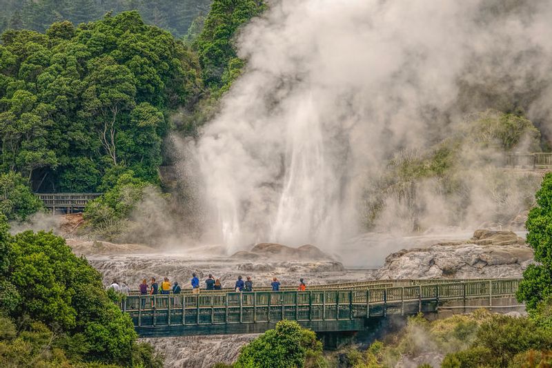 Bay of Plenty Private Tour - Te Puia: Pohutu Geyser Erupting