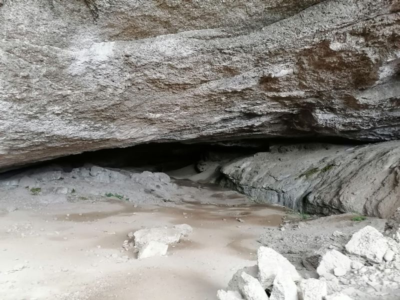 Punta Arenas Private Tour - Cuevas Milodon